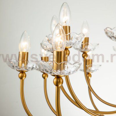 Подвесная люстра Favourite 2871-25P Bellis