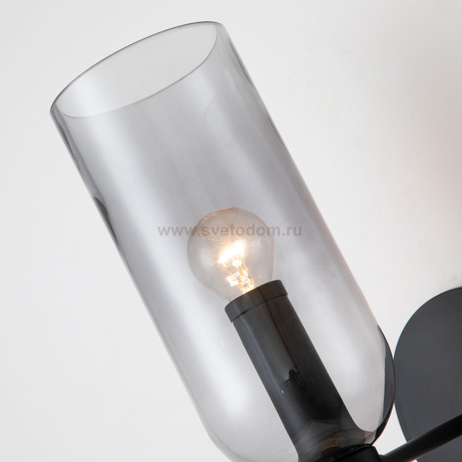 Настенный светильник Favourite 2877-1W Amusing