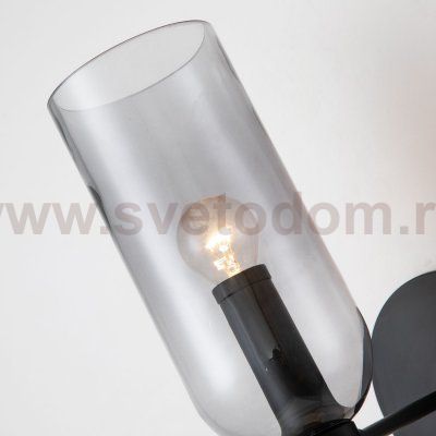 Настенный светильник Favourite 2877-1W Amusing