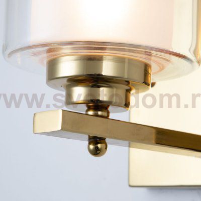 Настенный светильник Favourite 2963-1W Plexus