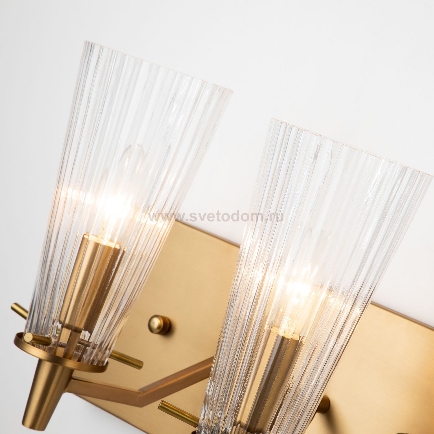 Настенный светильник Favourite 2964-2W Raute