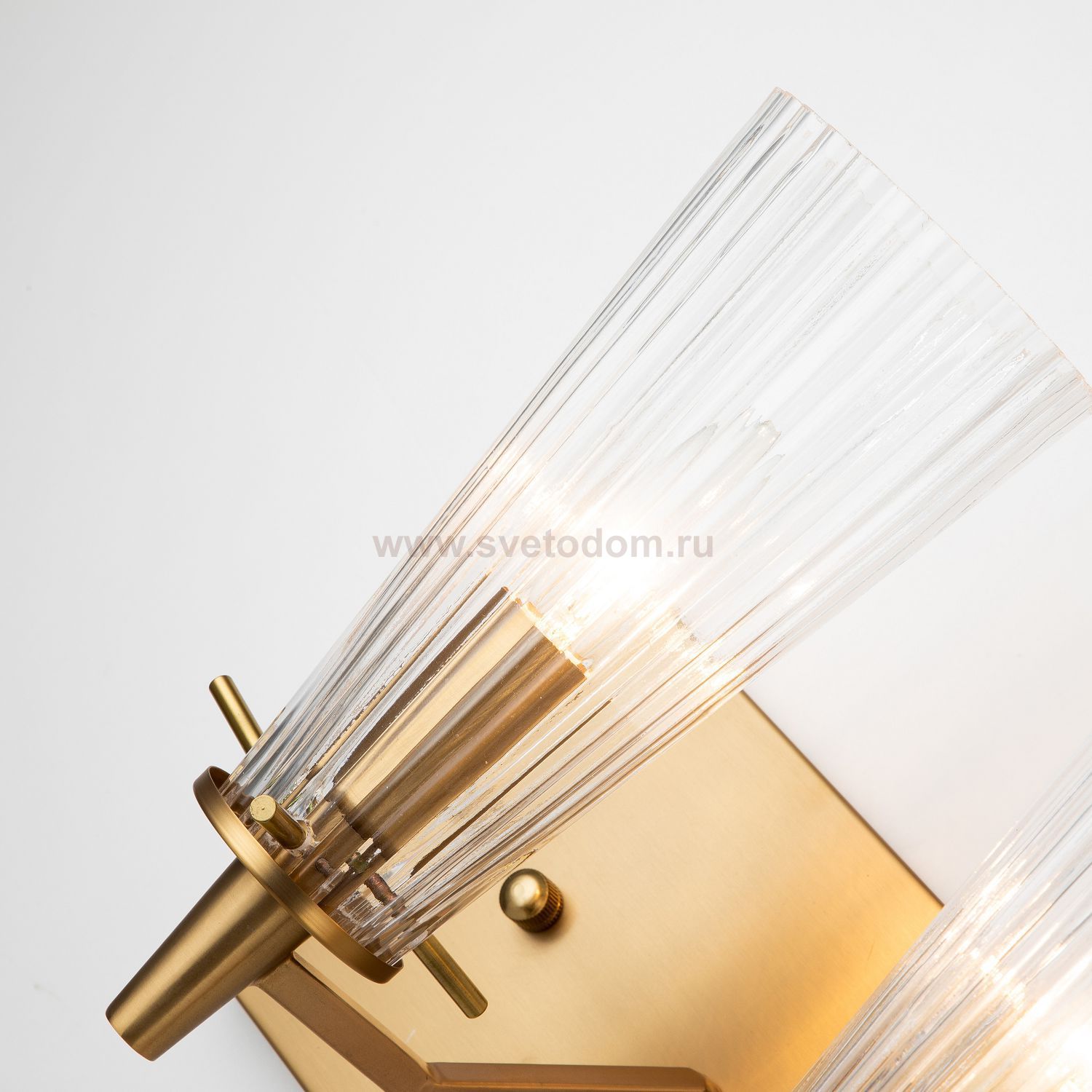 Настенный светильник Favourite 2964-2W Raute