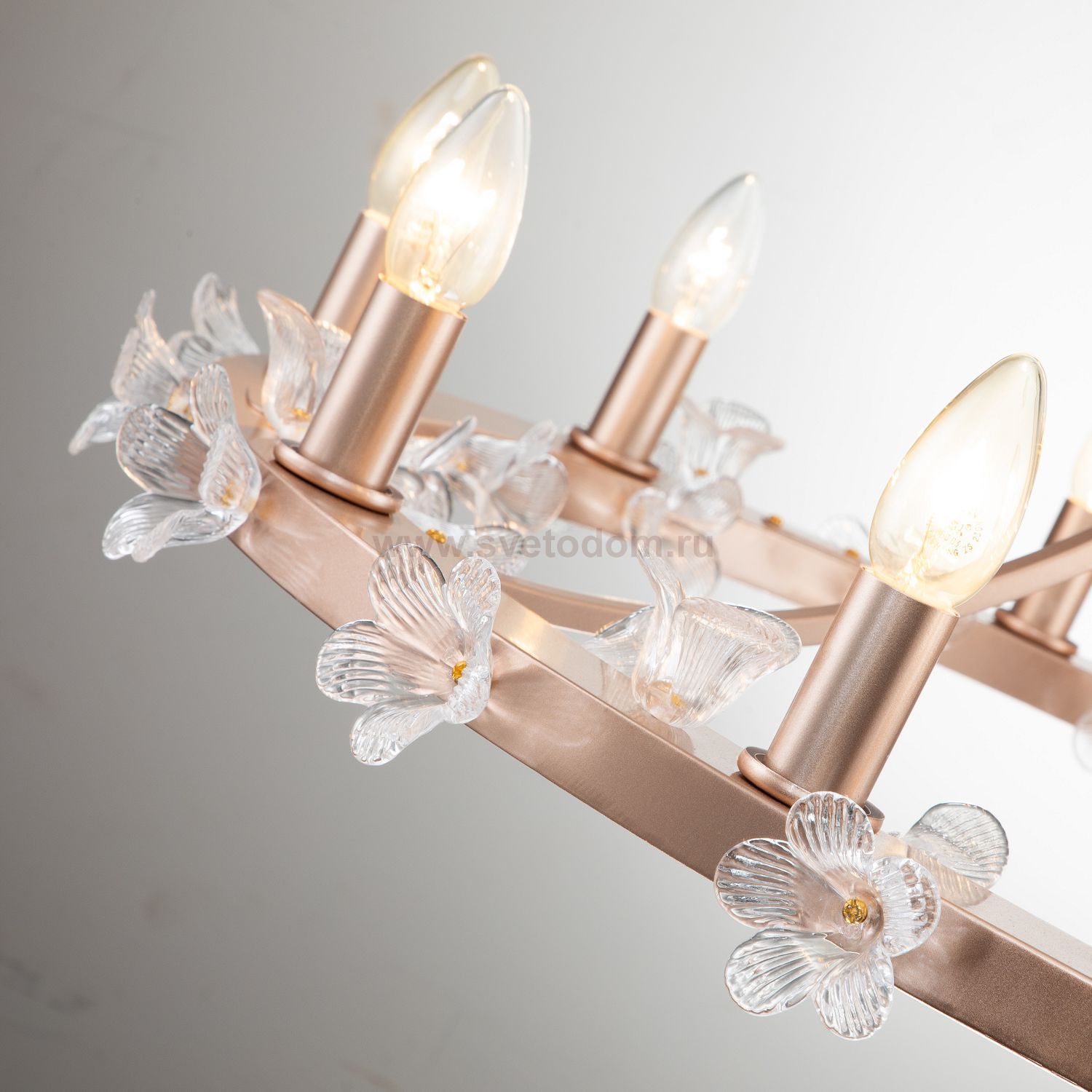 Подвесная люстра Favourite 2967-10P Palmira