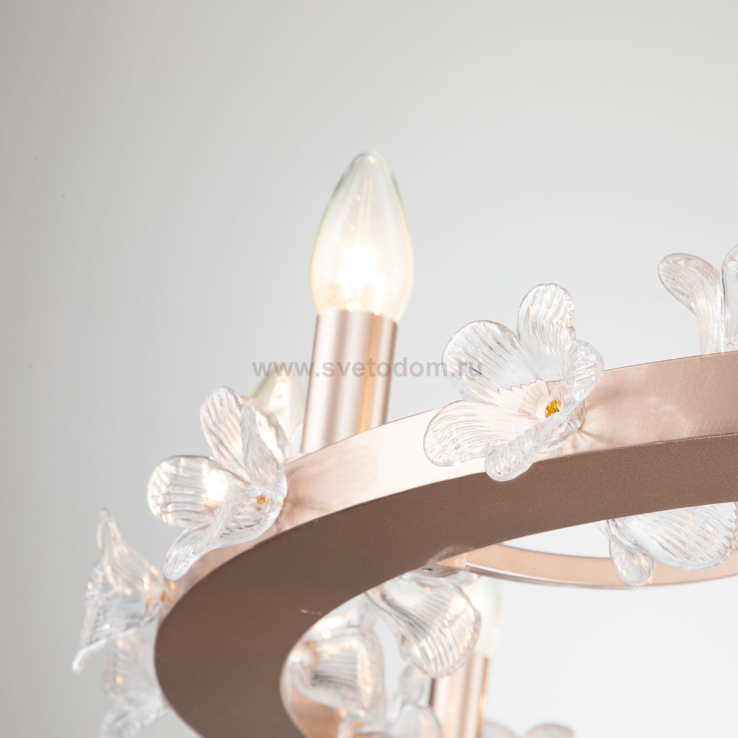 Подвесная люстра Favourite 2967-10P Palmira