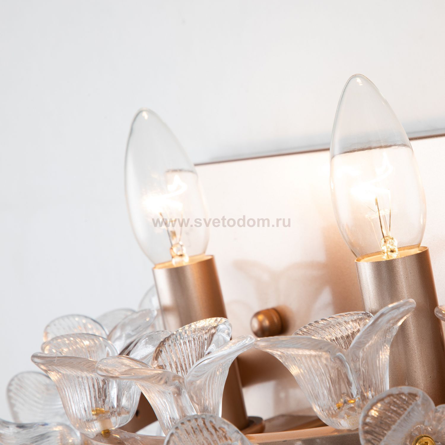 Настенный светильник Favourite 2967-2W Palmira