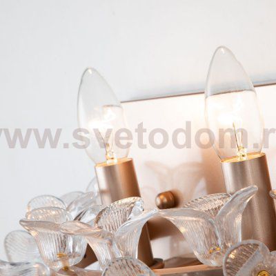 Настенный светильник Favourite 2967-2W Palmira