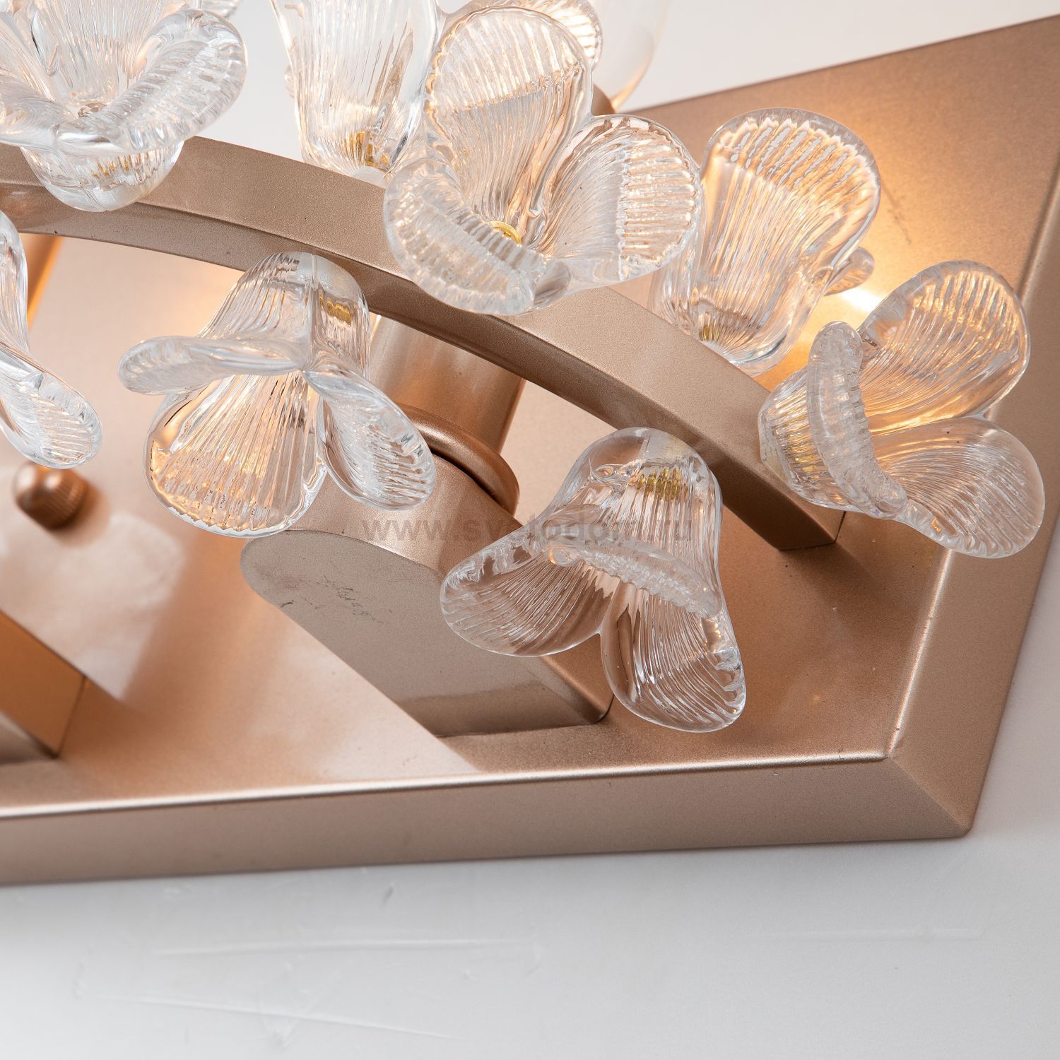 Настенный светильник Favourite 2967-2W Palmira