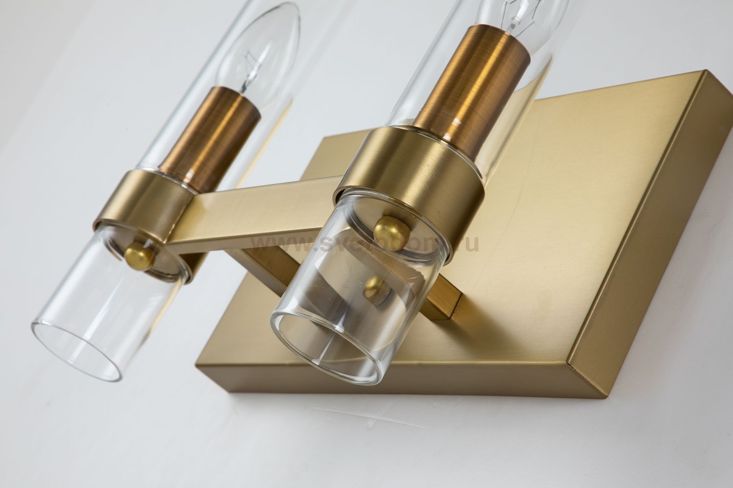 Настенный светильник Favourite 2970-2W Status