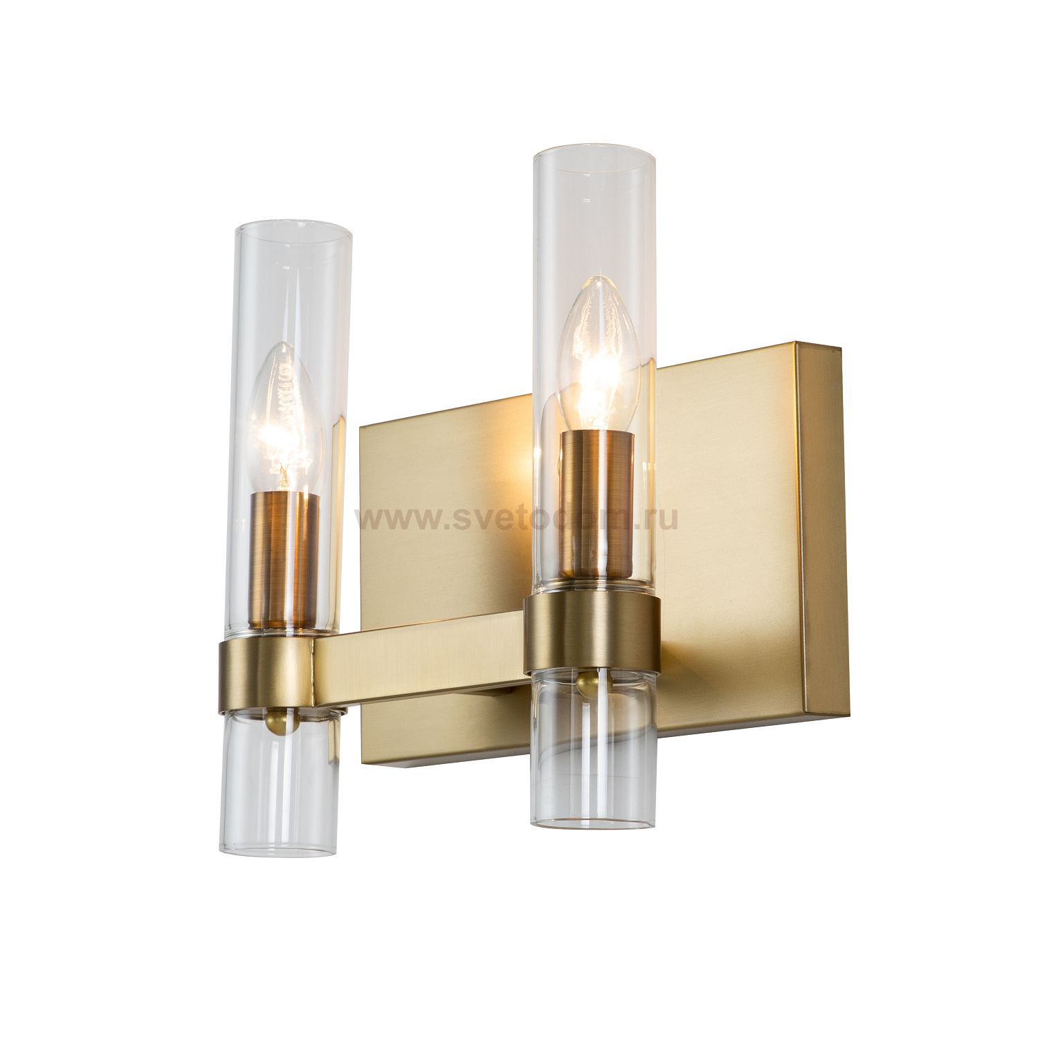 Настенный светильник Favourite 2970-2W Status