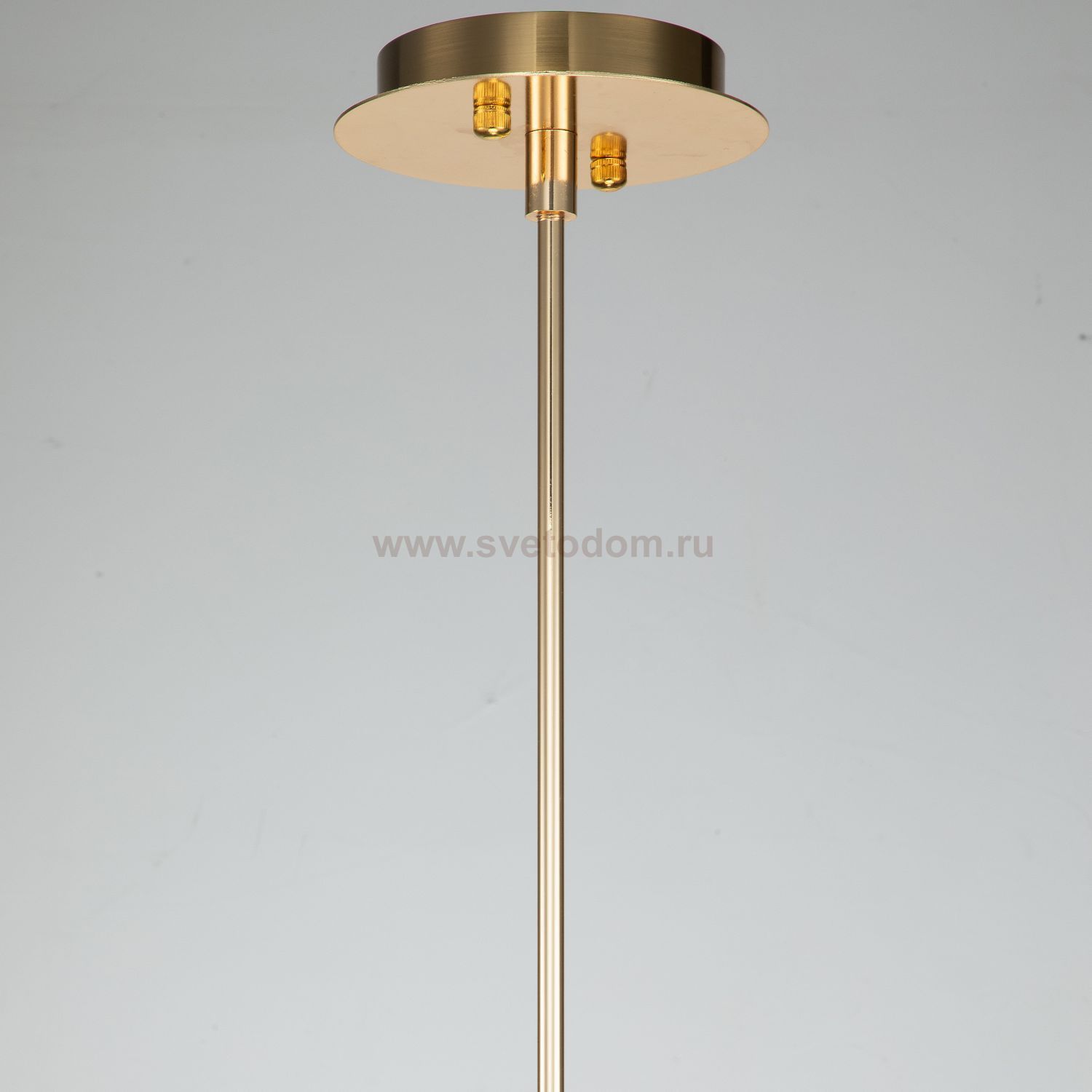 Подвесная люстра Favourite 2975-1P Atlant