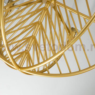 Подвесная люстра Favourite 2992-6P Arc