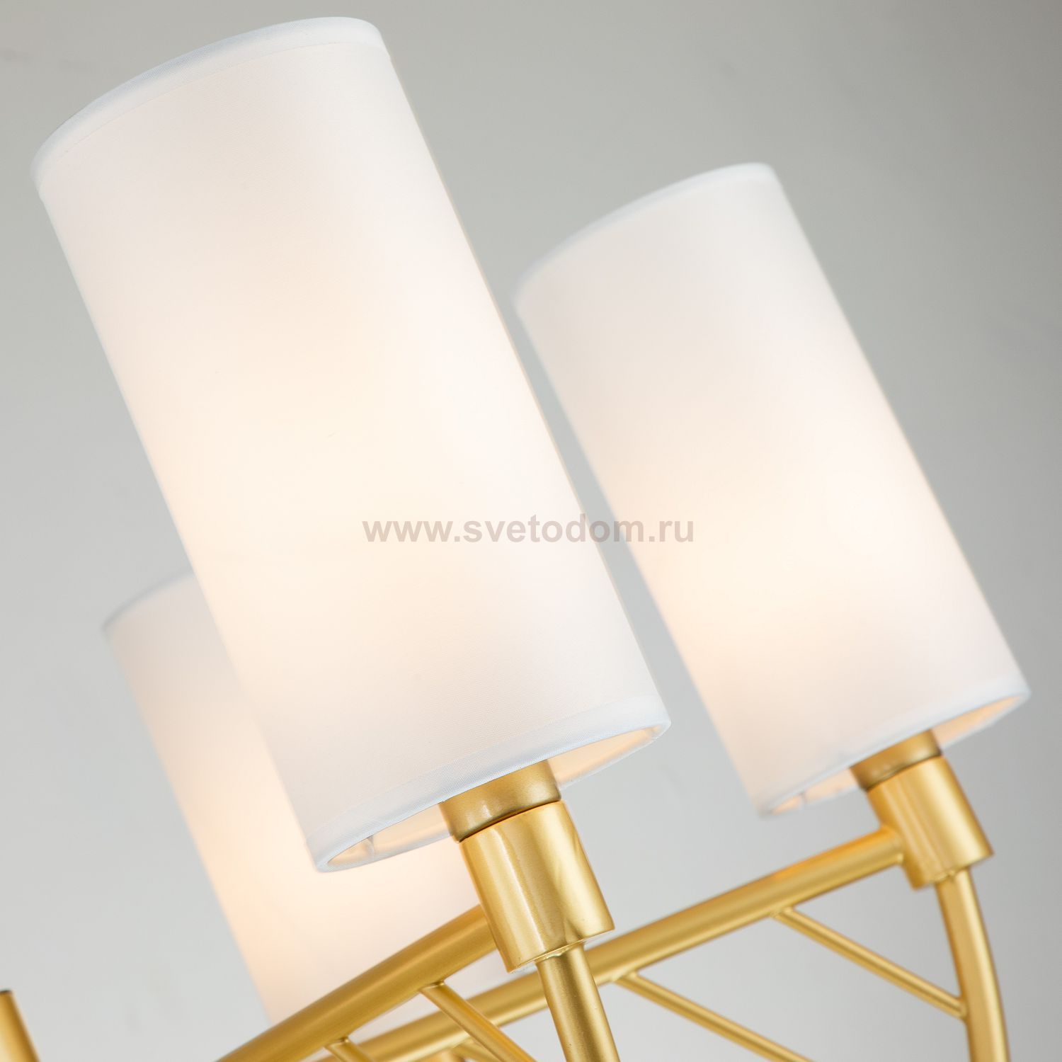 Подвесная люстра Favourite 2992-6P Arc