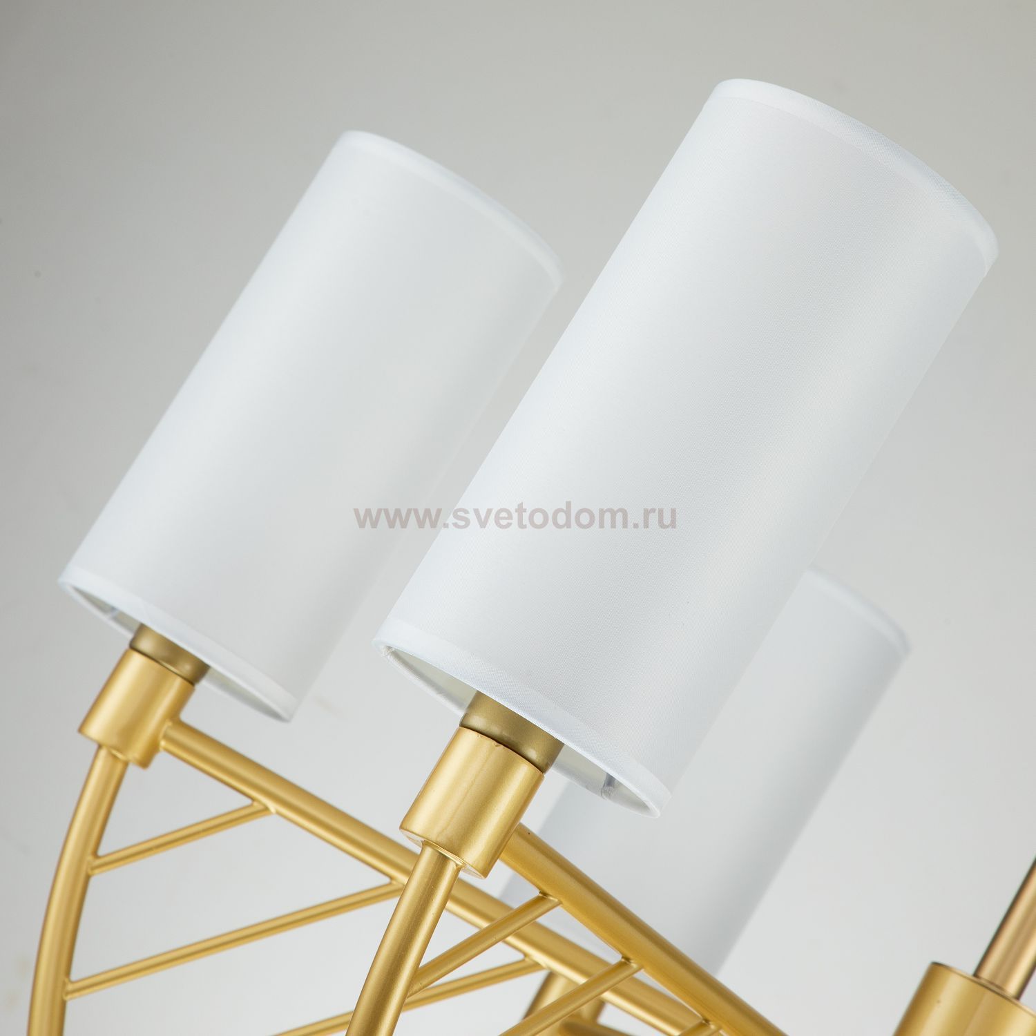 Подвесная люстра Favourite 2992-6P Arc