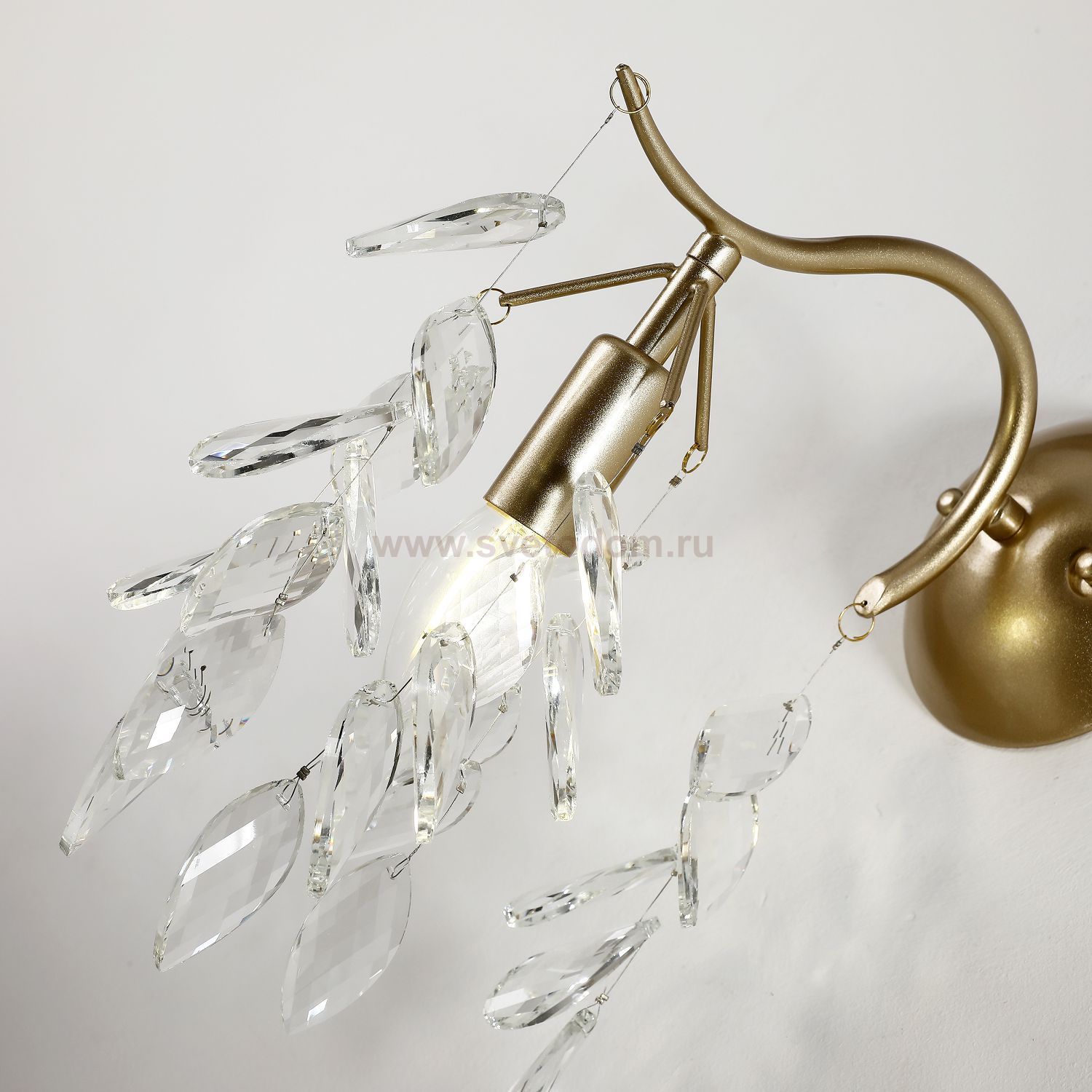 Настенный светильник Favourite 3003-1W Brillo