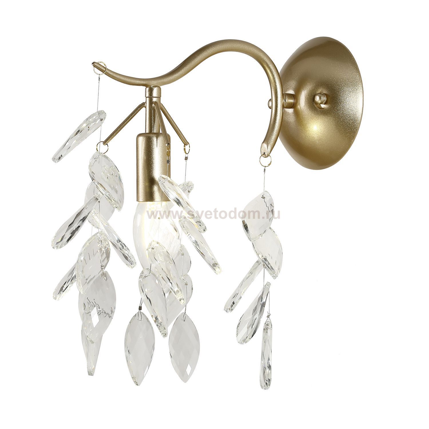 Настенный светильник Favourite 3003-1W Brillo