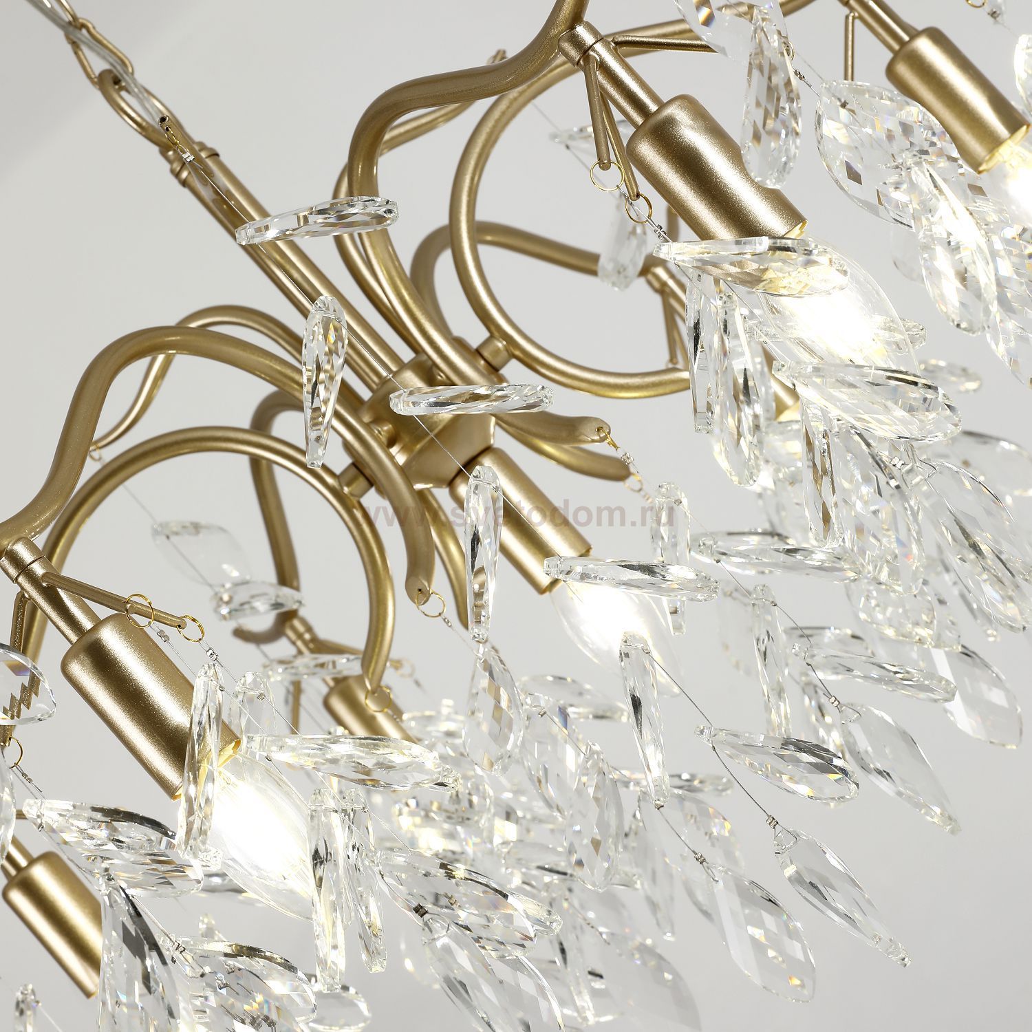 Подвесная люстра Favourite 3003-7P Brillo