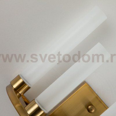 Настенный светильник Favourite 3015-5W Geyser