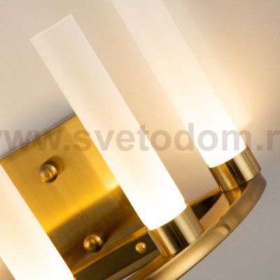 Настенный светильник Favourite 3015-5W Geyser