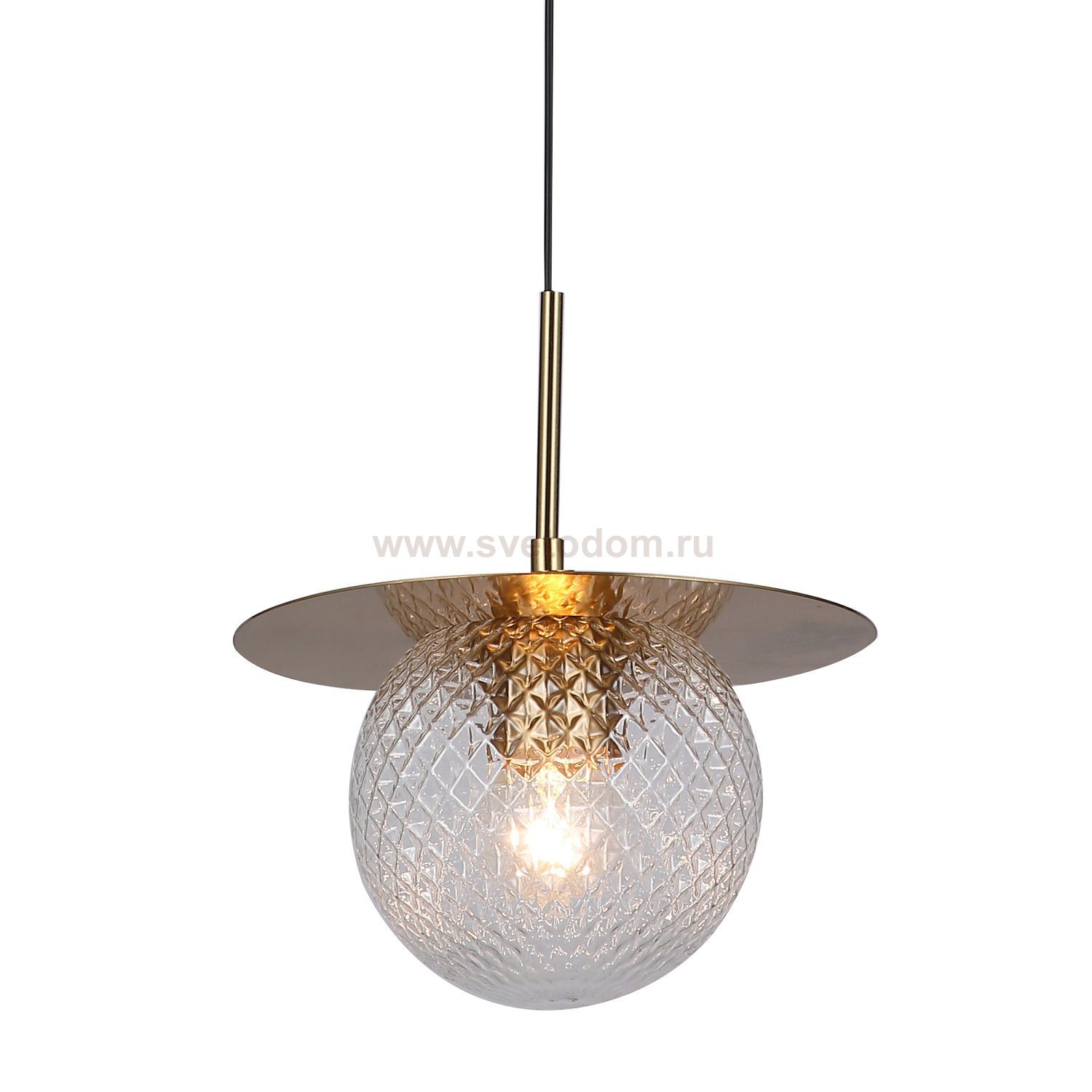 Подвесной светильник Favourite 3049-1P Roshni