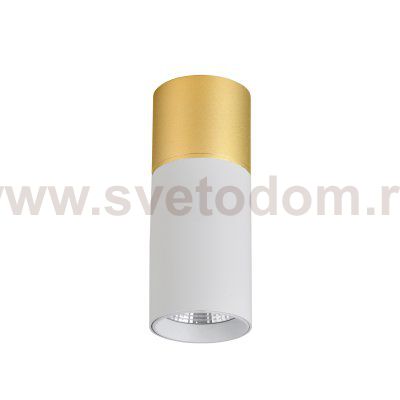 Потолочный светильник Favourite 3073-1C Deepak