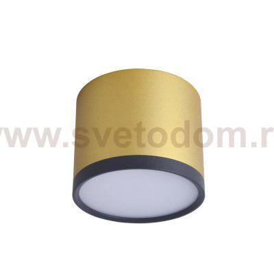 Потолочный светильник Favourite 3082-2C Baral