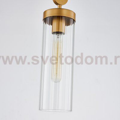 подвесной светильник Favourite 3099-1P Radiales