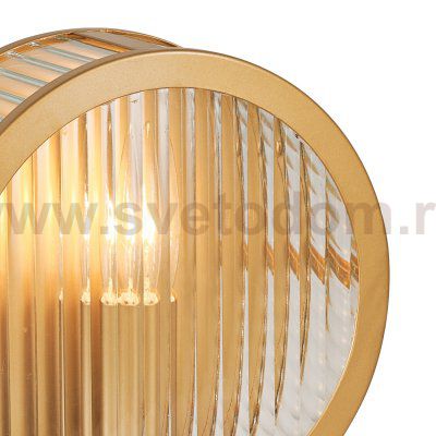 Настенный светильник Favourite 3099-1W Radiales
