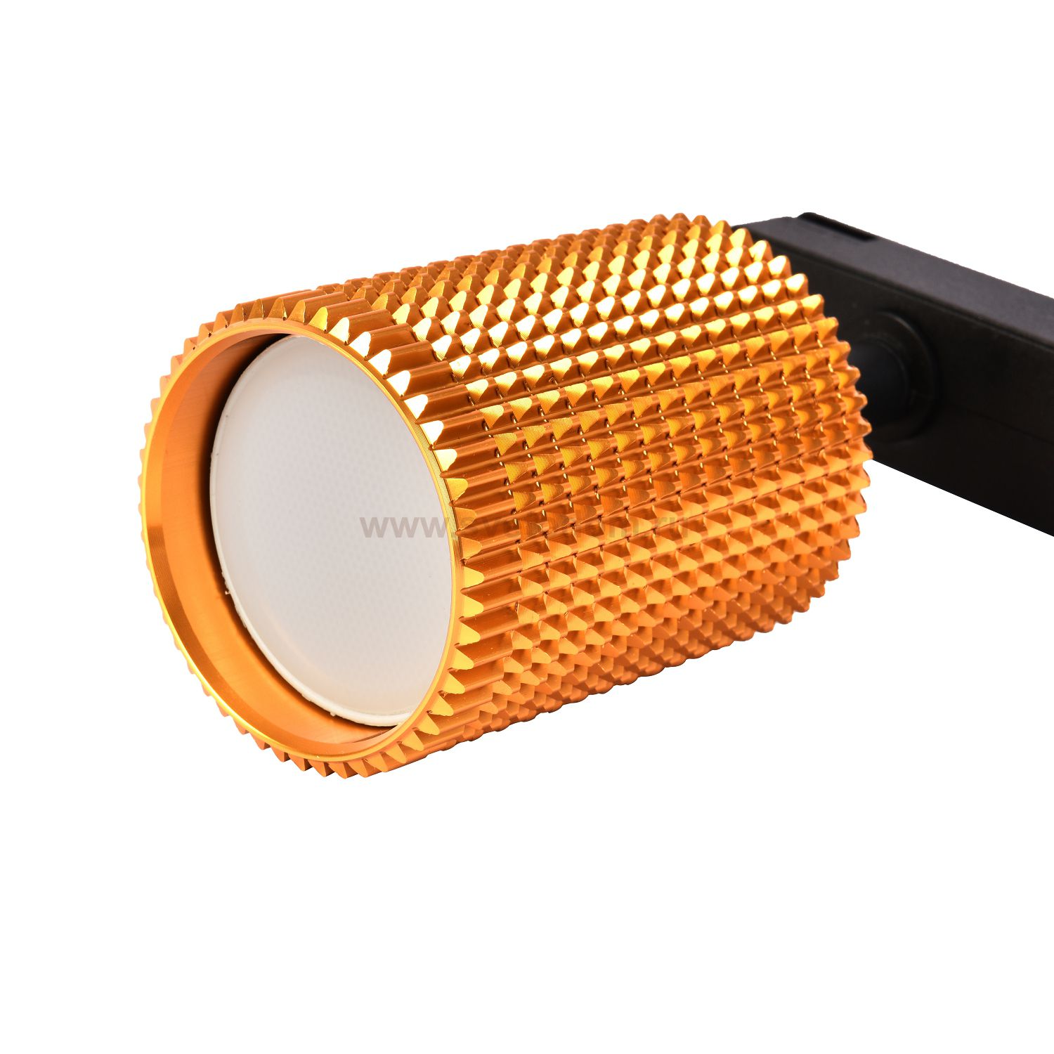 Потолочный светильник Favourite 4020-3U Imago