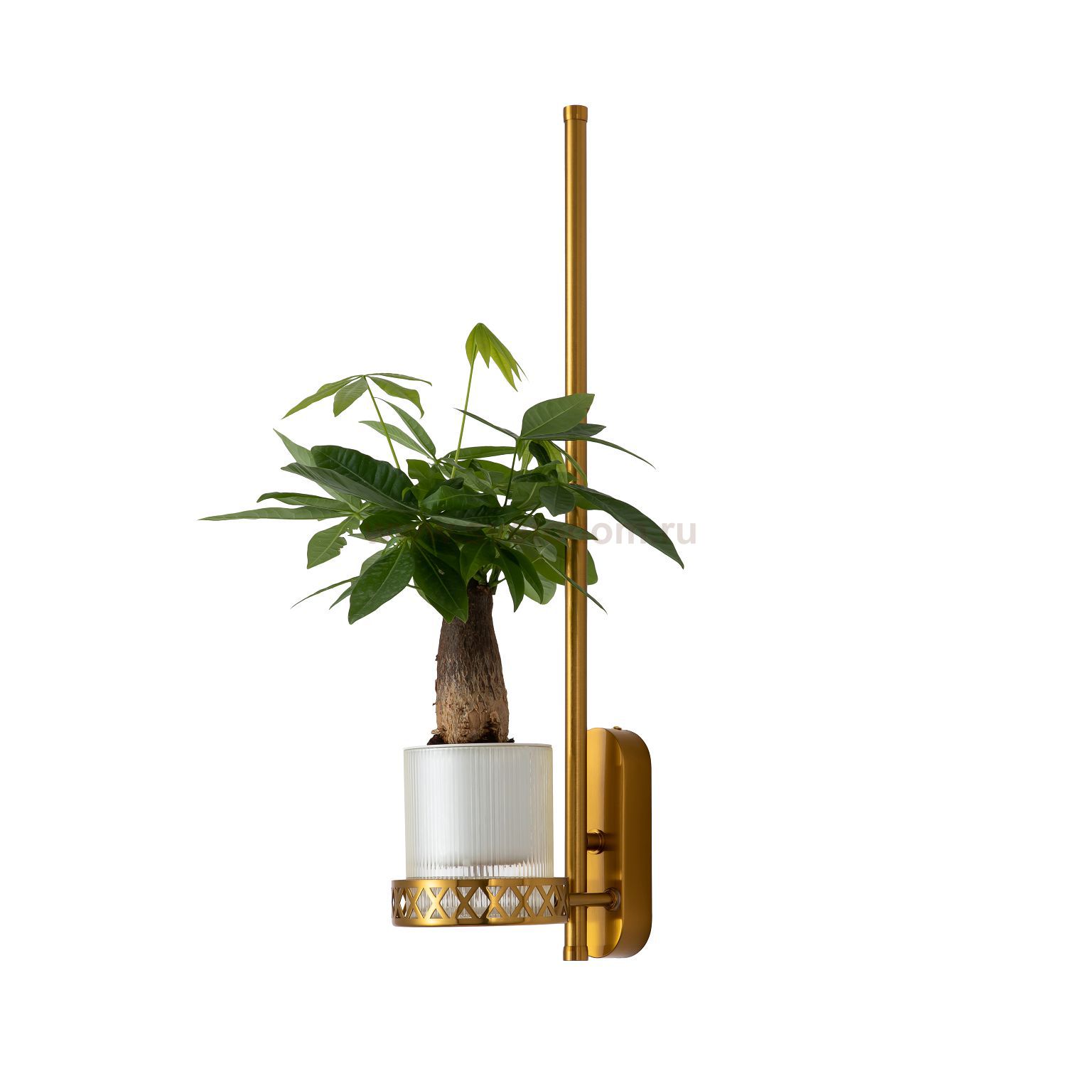 Настенный светильник Favourite 4050-1W Greenery