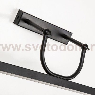 Настенный светильник Favourite 4096-1W Raya