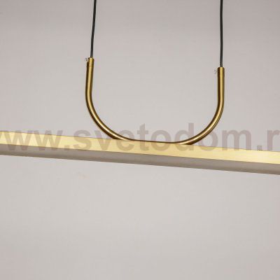 Подвесная люстра Favourite 4097-1P Raya