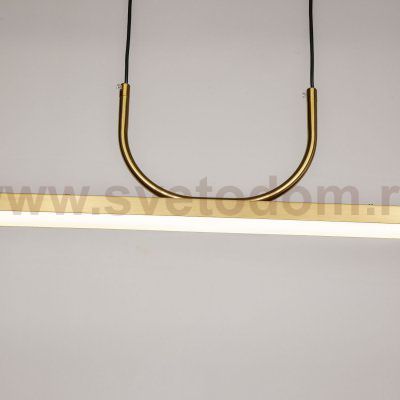 Подвесная люстра Favourite 4097-1P Raya