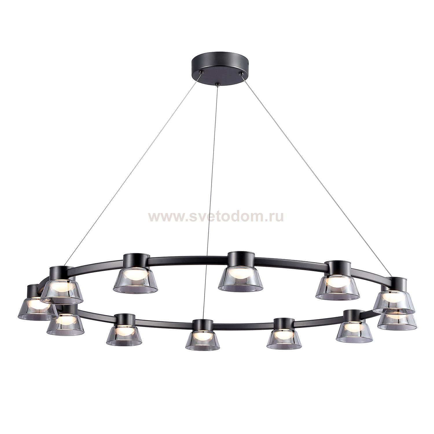 Подвесная люстра Favourite 4247-12P Twix