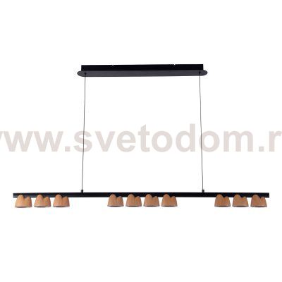 Подвесная люстра Favourite 4266-10P Interline