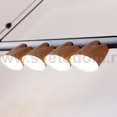 Подвесная люстра Favourite 4266-10P Interline