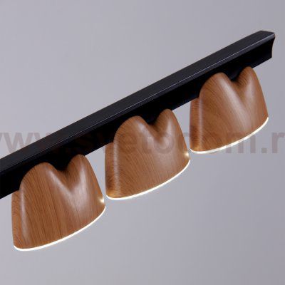 Подвесная люстра Favourite 4266-10P Interline