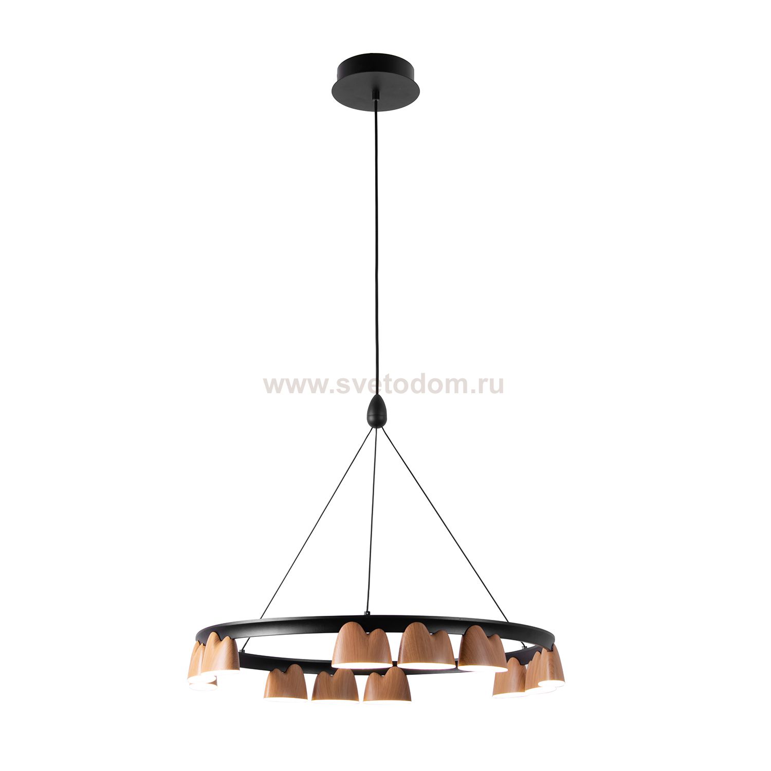 Подвесная люстра Favourite 4266-12P Interline