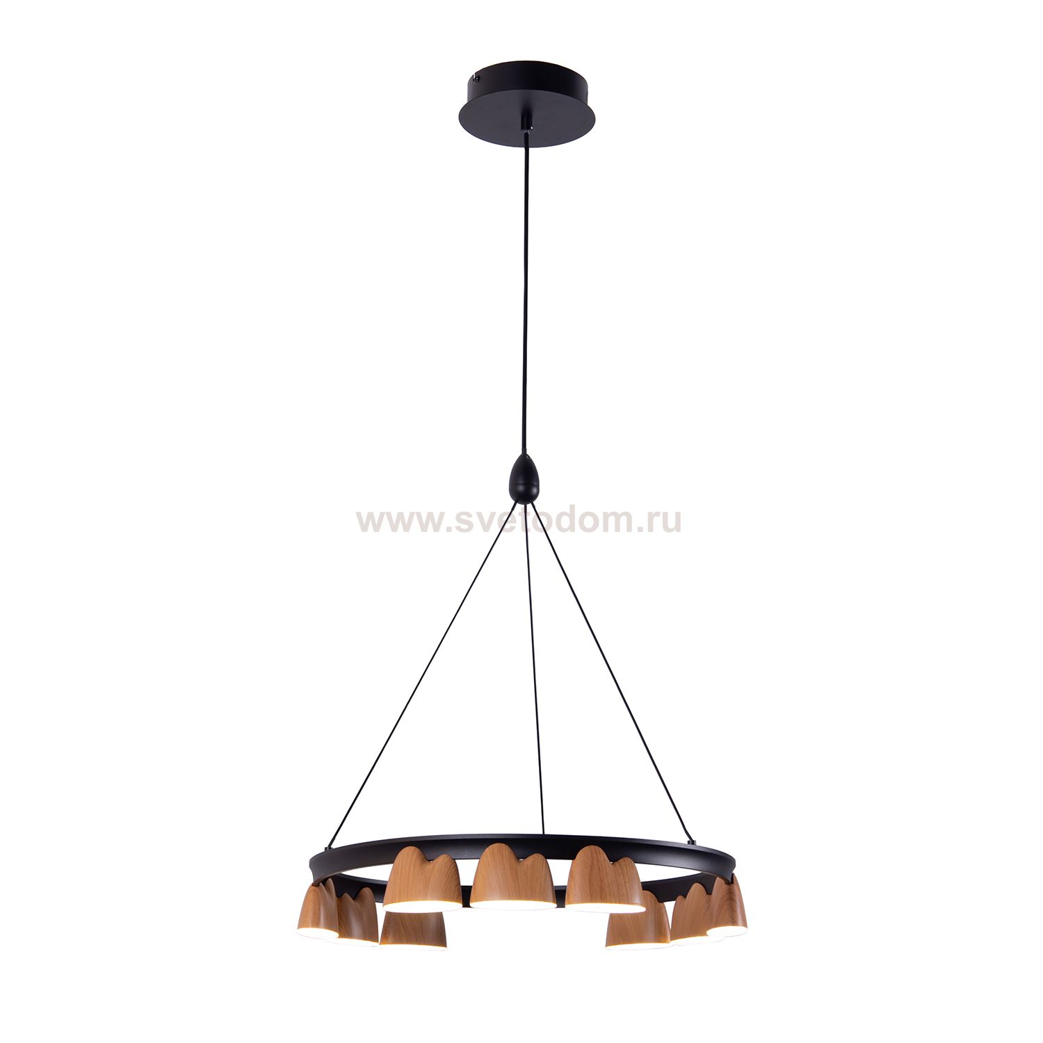 Подвесная люстра Favourite 4266-9P Interline