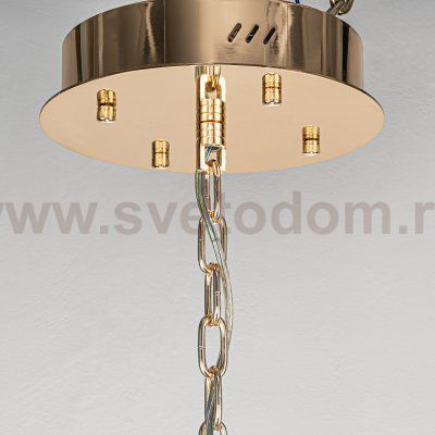 Подвесная люстра Favourite 4304-10P Visconte