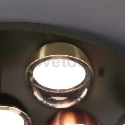 потолочная люстра Favourite 4371-12C Luna