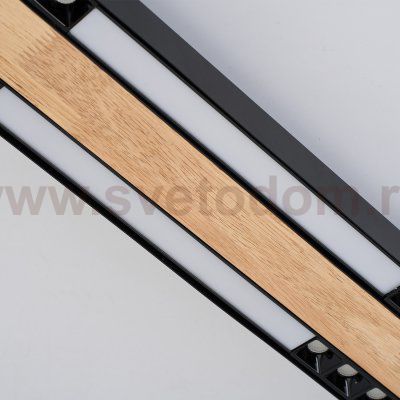 Потолочный светильник Favourite 4440-2C Zebra