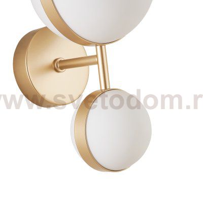 Настенный светильник Favourite 4448-2W Asterismo