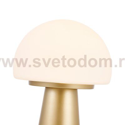 Настольный светильник Favourite 4450-1T Hongo