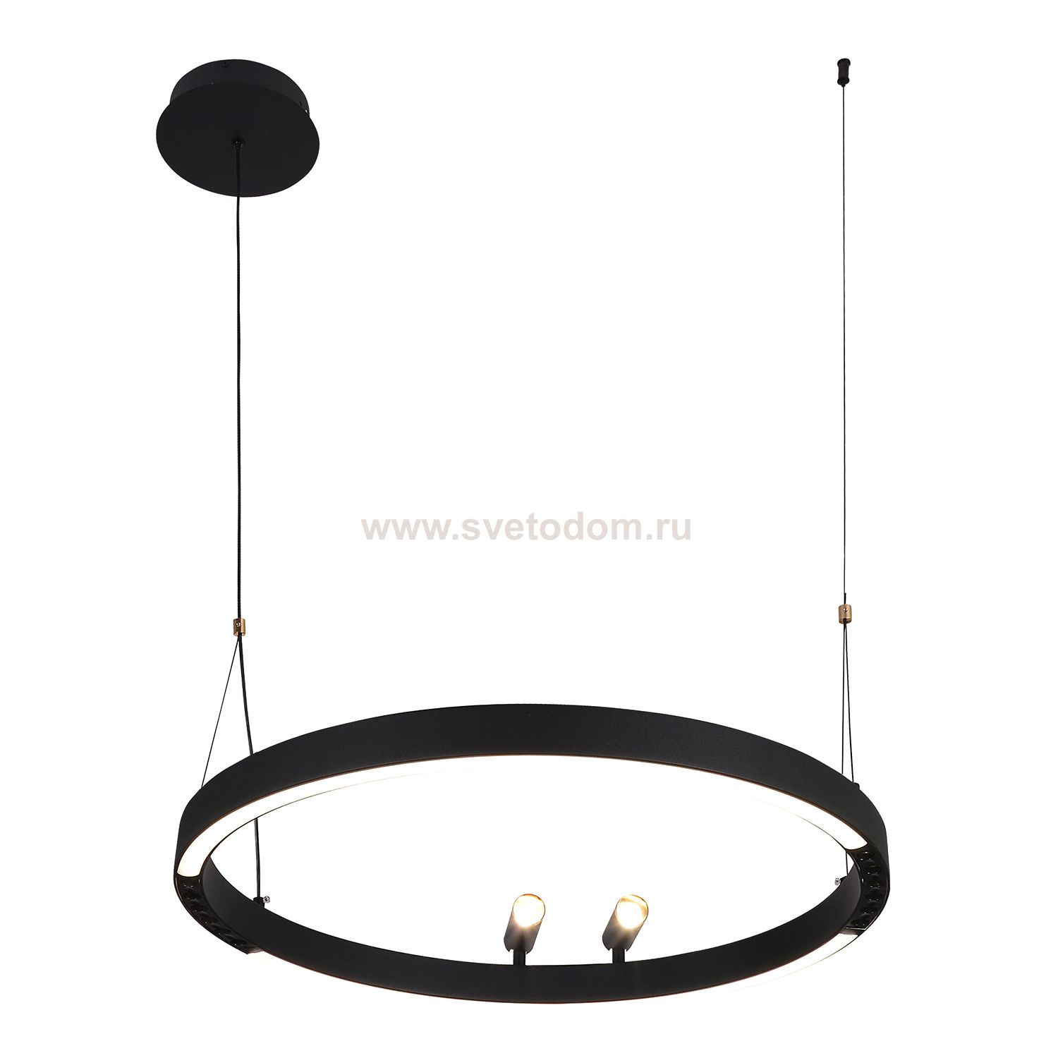 Подвесная люстра Favourite 4474-1P Slinga