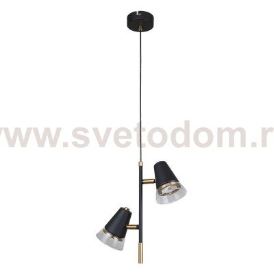Подвесной светильник Favourite 4618-2P Trandy