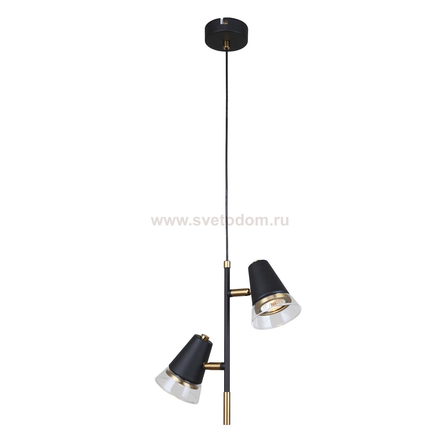 Подвесной светильник Favourite 4618-2P Trandy