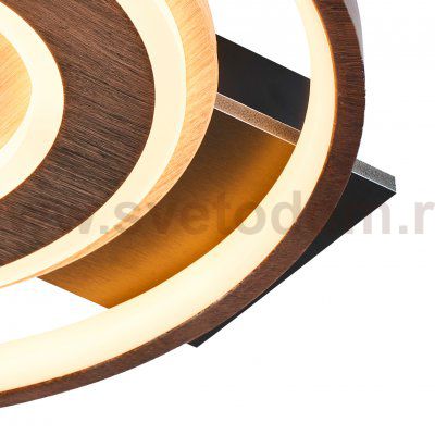 потолочный светильник Favourite 4699-1C Labrea