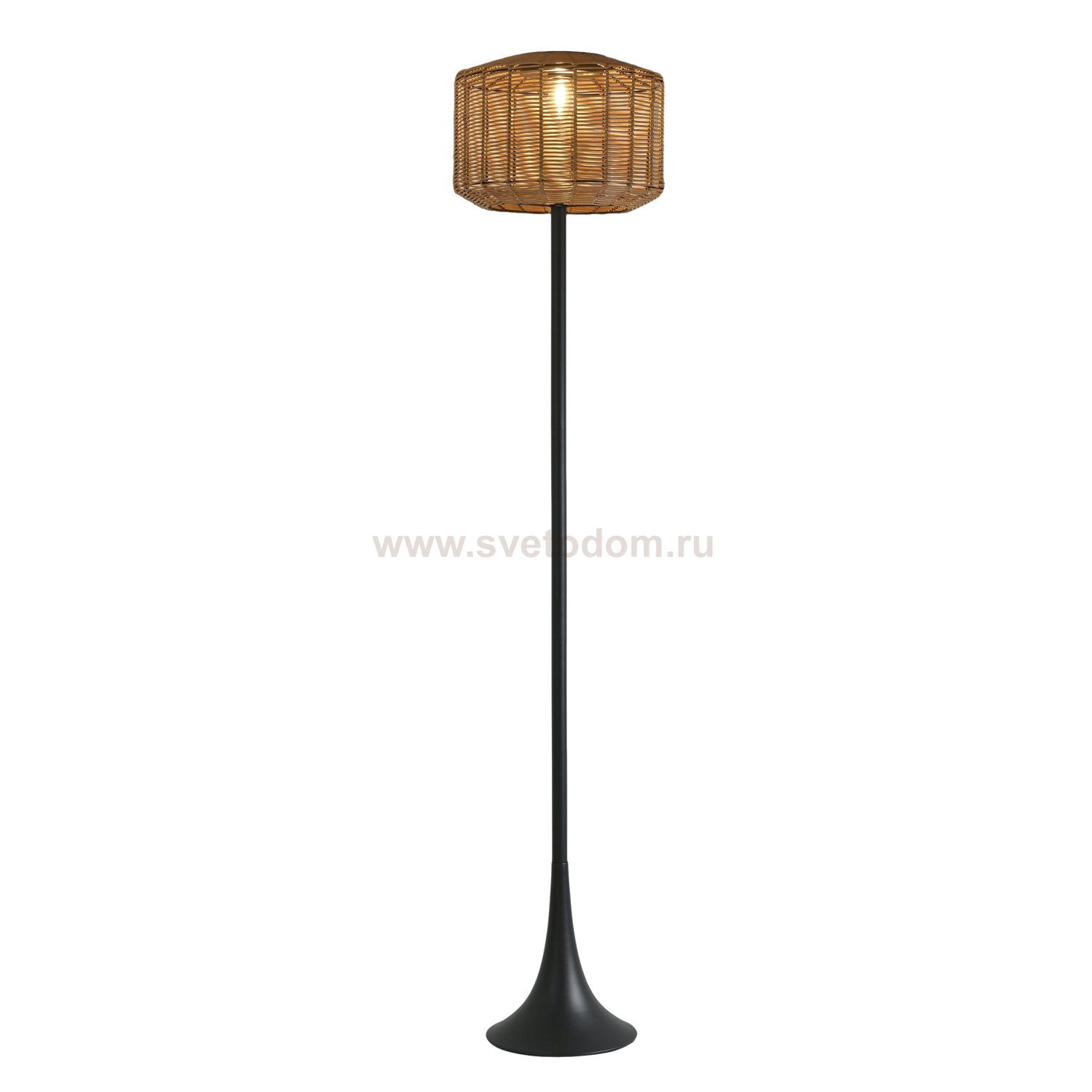 Торшер Favourite 4833-1F Assolato