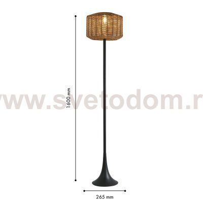 Торшер Favourite 4833-1F Assolato