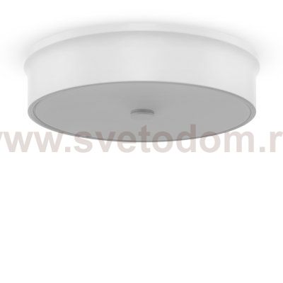 Потолочный светильник Freya FR10011CL-L24W 